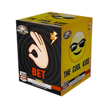 Load image into Gallery viewer, The Cool Kids