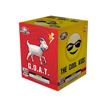 Load image into Gallery viewer, The Cool Kids