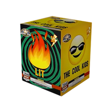 Load image into Gallery viewer, The Cool Kids