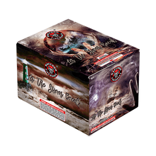 Load image into Gallery viewer, Let The Storm Break