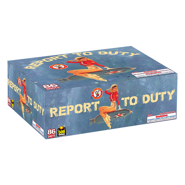 REPORT TO DUTY 86'S