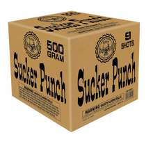 Load image into Gallery viewer, Sucker Punch 1
