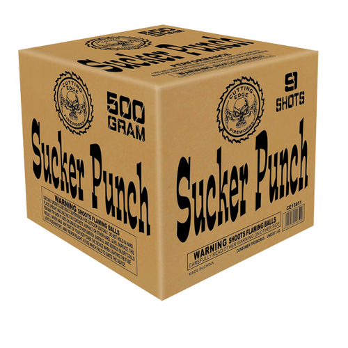 Sucker Punch 1