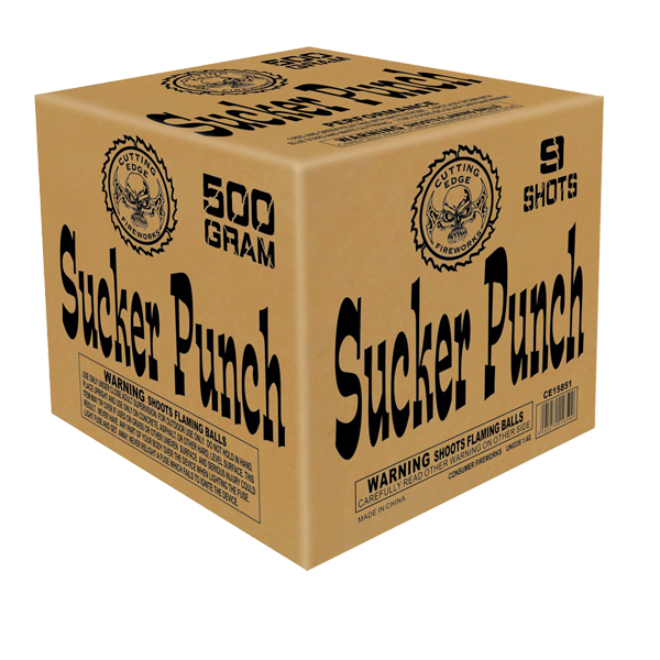 Sucker Punch 1